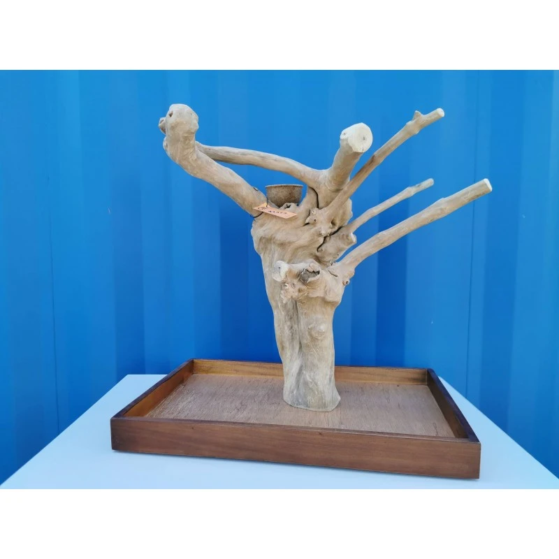 Aire De Jeux En Bois De Java Avec Socle - Medium - Back Zoo Nature 2 Aire De Jeux En Bois De Java Avec Socle - Medium - Back Zoo Nature – Image 2