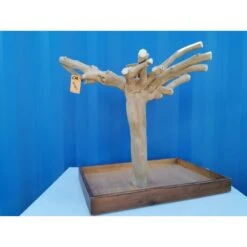 Aire De Jeux En Bois De Java Avec Socle - Medium - Back Zoo Nature 10 Aire De Jeux En Bois De Java Avec Socle - Medium - Back Zoo Nature -Oiseau Soldes Boutique aire de jeux en bois de java avec socle medium back zoo nature zf1113 back zoo nature aire de jeux en bois de java avec socle et 3