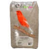 Alpiste Ou Millet Plat 20kg - Ornibird