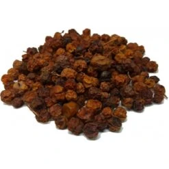 Baie De Sorbier Des Oiseleurs Au Kg - Ornibird 7 Baie De Sorbier Des Oiseleurs Au Kg - Ornibird -Oiseau Soldes Boutique baie de sorbier des oiseleurs au kg ornibird 103041250 kg grizo baie du sorbier en fruit seche dont les becs crochus indigenes e 3