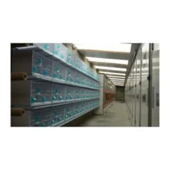 Batterie De 12 Cages 64x30x34 Modèle Champion- New Canariz -Oiseau Soldes Boutique batterie de 12 cages 64x30x34 modele champion new canariz 3000 new canariz livree avec un systeme de rouleaux de papier comme fo 18