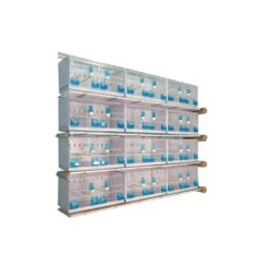 Batterie De 12 Cages 64x30x34 Modèle Champion- New Canariz