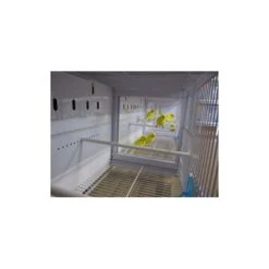 Batterie De 12 Cages 64x30x34 Modèle Champion- New Canariz -Oiseau Soldes Boutique batterie de 12 cages 64x30x34 modele champion new canariz 3000 new canariz livree avec un systeme de rouleaux de papier comme fo 4