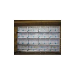 Batterie De 12 Cages 64x30x34 Modèle Champion- New Canariz -Oiseau Soldes Boutique batterie de 12 cages 64x30x34 modele champion new canariz 3000 new canariz livree avec un systeme de rouleaux de papier comme fo 9