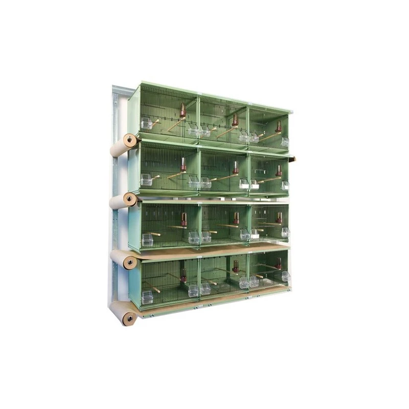 Batteries De 12 Cages 45x30x36 En Vert - New Canariz 1 Batteries De 12 Cages 45x30x36 En Vert - New Canariz