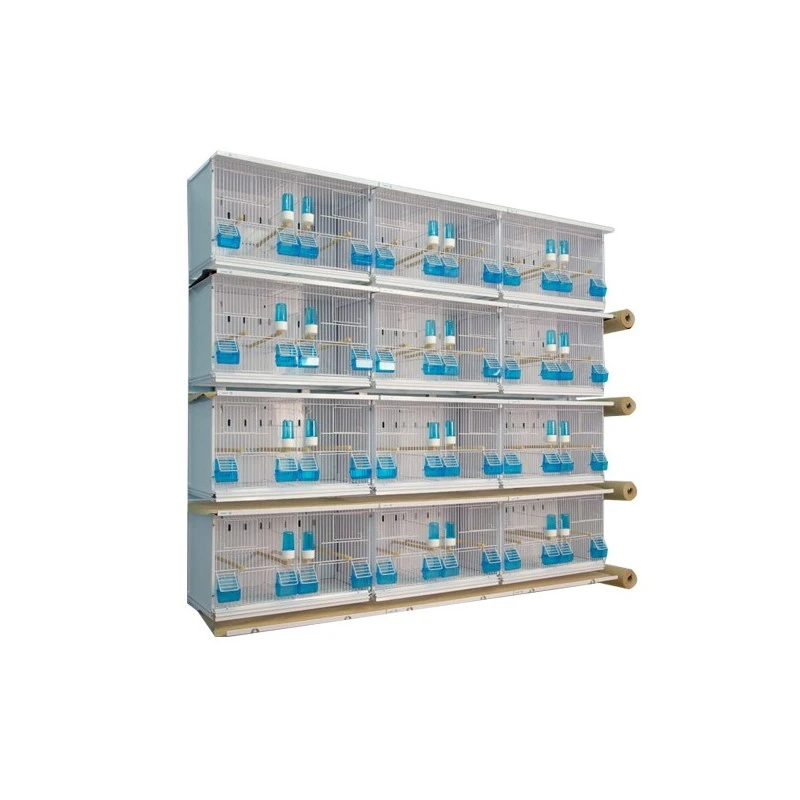 Batteries De 12 Cages 63x30x36 - New Canariz 1 Batteries De 12 Cages 63x30x36 - New Canariz
