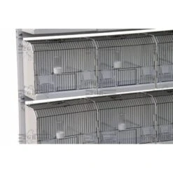 Cage Exposition Plastique 36x17x30cm - 2G-R -Oiseau Soldes Boutique cage exposition plastique 36x17x30cm 2g r art 315fn3 2g r cage de preparation avec facade noire 1 porte centrale avec ressort et 3
