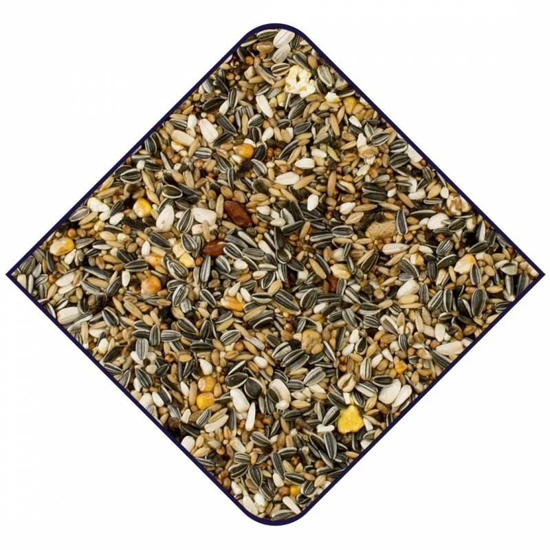 Expert Base Perroquets 15kg - Witte Molen 2 Expert Base Perroquets 15kg - Witte Molen – Image 2