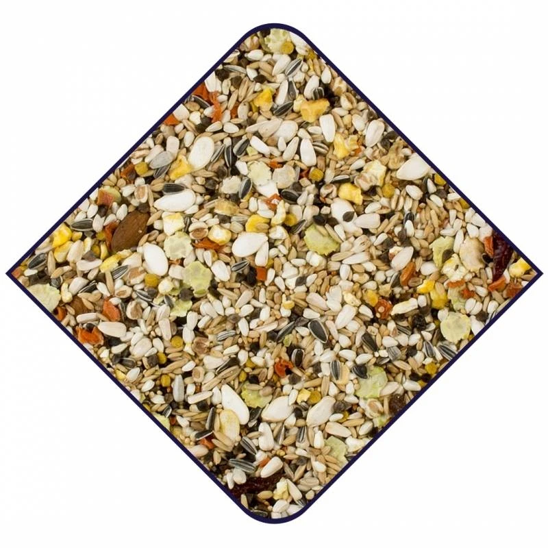 Expert Premium Perroquets 15kg - Witte Molen 2 Expert Premium Perroquets 15kg - Witte Molen – Image 2