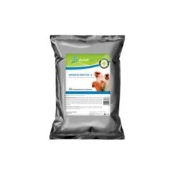 Farine D'insectes 500gr - Avianvet