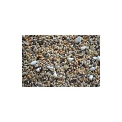 Forpus Neophema Braet 20kg