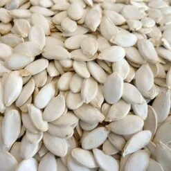 Oiseau Soldes Boutique -Oiseau Soldes Boutique graines de citrouille 25kg duvo 364 duvo graines de citrouille 25kg duvo 1