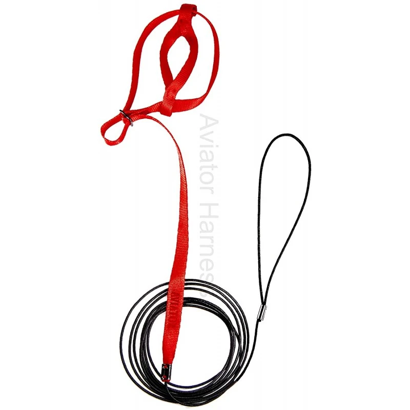 Harnais Pour Perroquet AVIATOR Small Rouge 2 Harnais Pour Perroquet AVIATOR Small Rouge – Image 2