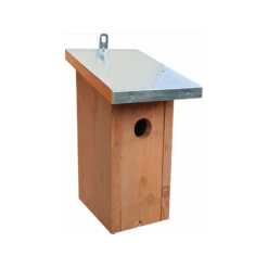 Le Plus Hivernal Toit En Bois Massif