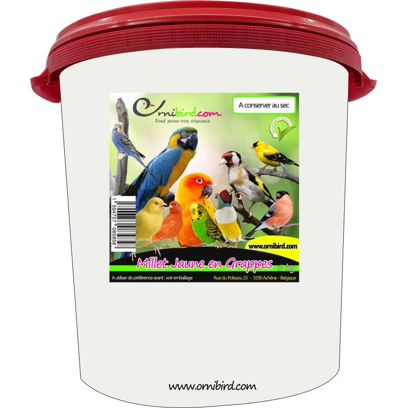 Millet En Grappes En Seau De 5kg - Ornibird 1 Millet En Grappes En Seau De 5kg - Ornibird
