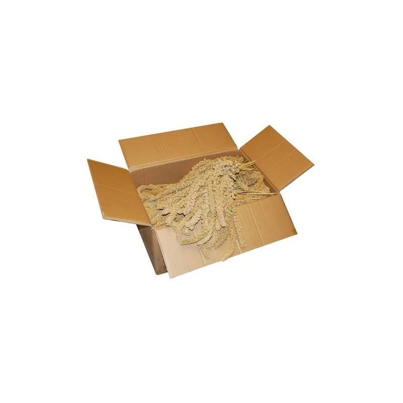 Millet Jaune En Grappes Chinois 15kg 2 Millet Jaune En Grappes Chinois 15kg – Image 2