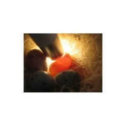 Mire Oeufs - Fauna -Oiseau Soldes Boutique mire oeufs fauna 14340 fauna birdproducts ce stylo permet de controler la fecondite des oeufs il est livre avec 2 piles 2