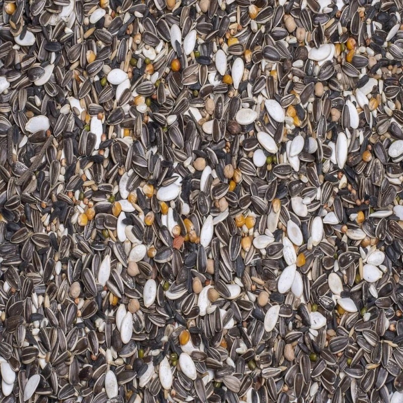 N°28 Graines à Germer Perroquet 10kg - Deli Nature 2 N°28 Graines à Germer Perroquet 10kg - Deli Nature – Image 2