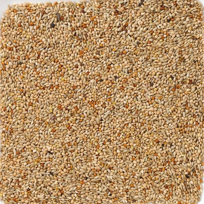 N°40 Oiseaux Exotiques Base 20kg - Deli Nature 2 N°40 Oiseaux Exotiques Base 20kg - Deli Nature – Image 2