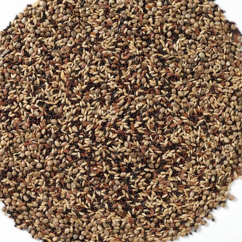 N°48 Tarins & Chardonnerets 20kg - Deli Nature 2 N°48 Tarins & Chardonnerets 20kg - Deli Nature – Image 2