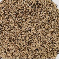 Oiseau Soldes Boutique -Oiseau Soldes Boutique n53 canaris extra 20kg deli nature 006353 deli nature est un melange standard pour canaris chanteurs de posture et de couleur in 1