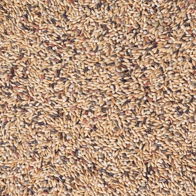 N°54 Canaris Elevage Avec Perilla Blanc 20kg - Deli Nature 2 N°54 Canaris Elevage Avec Perilla Blanc 20kg - Deli Nature – Image 2