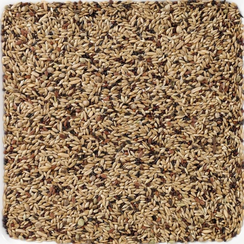 N°55 Canaris Supreme 20kg - Deli Nature 2 N°55 Canaris Supreme 20kg - Deli Nature – Image 2