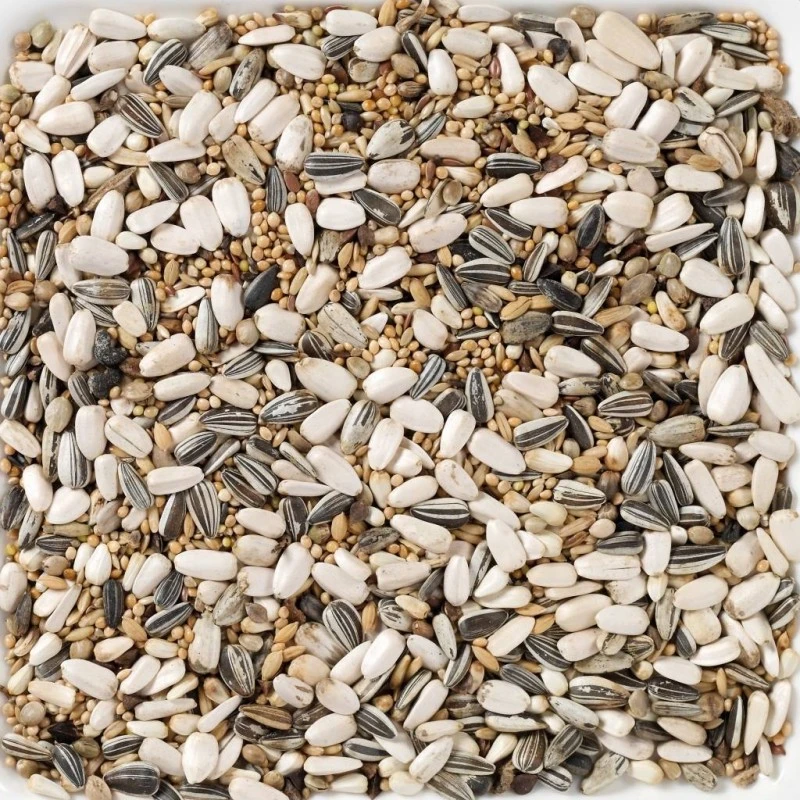 N°59 Grandes Perruches Standard 15kg - Deli Nature 2 N°59 Grandes Perruches Standard 15kg - Deli Nature – Image 2