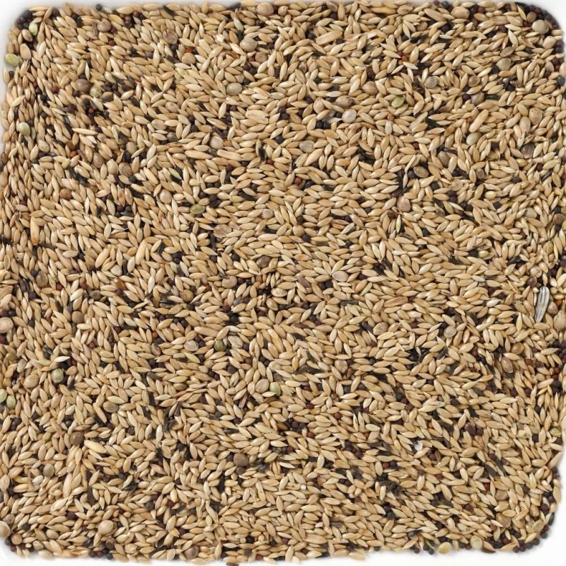 N°65 Canaris Light 20kg - Deli Nature 2 N°65 Canaris Light 20kg - Deli Nature – Image 2