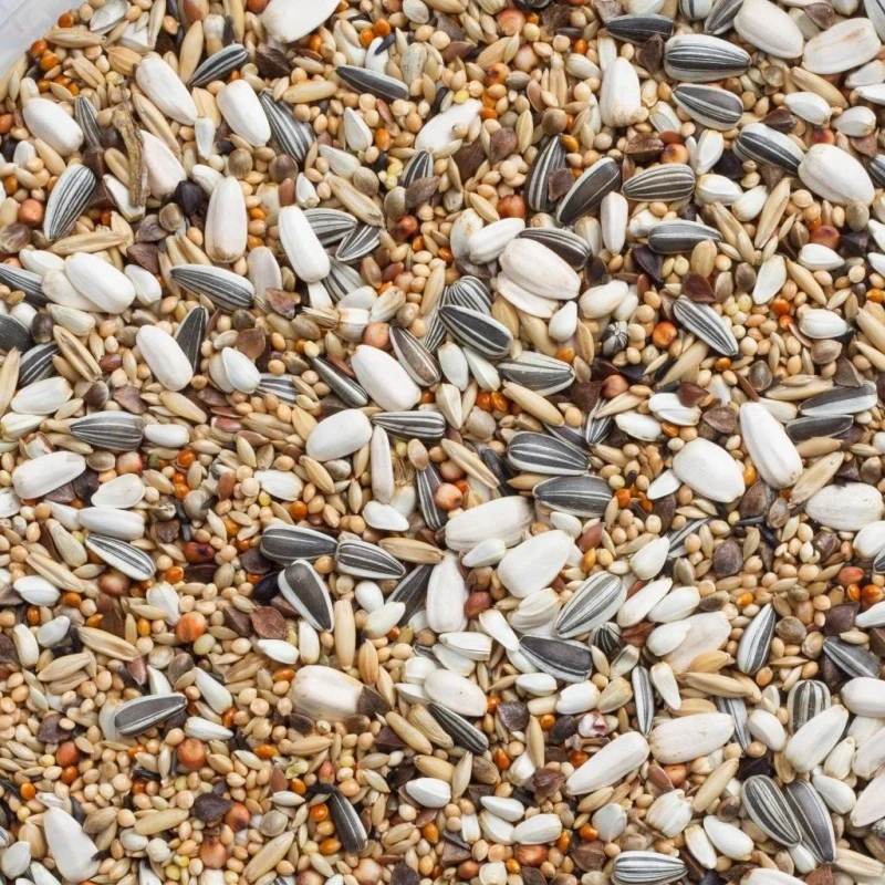 N°69 Grandes Perruches Avec Tournesols 20kg - Deli Nature 2 N°69 Grandes Perruches Avec Tournesols 20kg - Deli Nature – Image 2