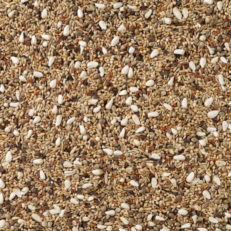 N°72 Agapornis Champion 20kg - Deli Nature 2 N°72 Agapornis Champion 20kg - Deli Nature – Image 2