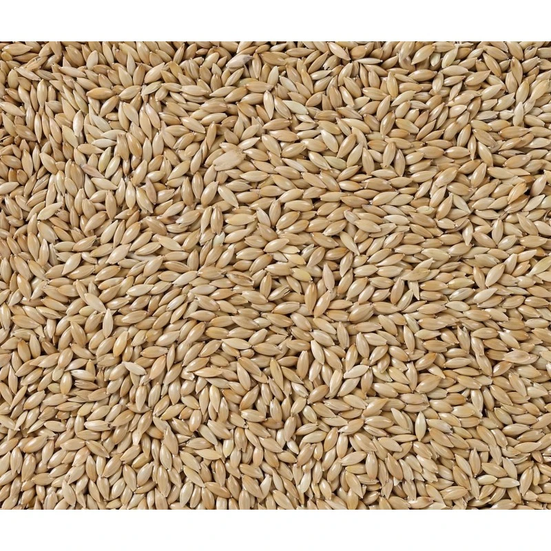 N°86 Alpistes Extra 20kg - Deli Nature 2 N°86 Alpistes Extra 20kg - Deli Nature – Image 2