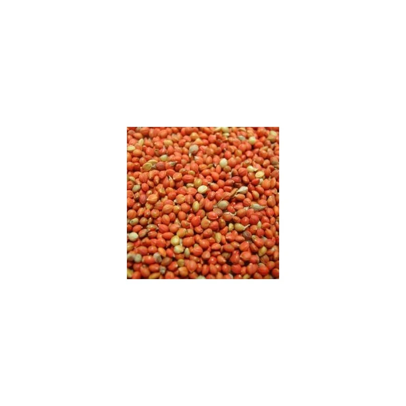 Panis Rouge 25kg - Beyers 2 Panis Rouge 25kg - Beyers – Image 2
