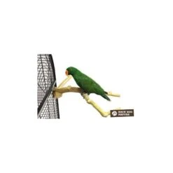 Perchoir Java Multi Perchoirs Premium 35-55cm Large - Back Zoo Nature