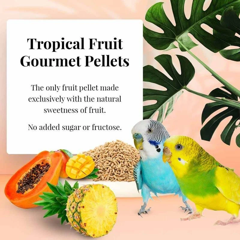 Tropical Fruit Gourmet Pellets Perruche 567gr - Lafeber's 2 Tropical Fruit Gourmet Pellets Perruche 567gr - Lafeber's – Image 2