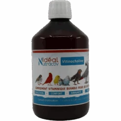 Vitinocholine Liquide 500ml - Idéal Nutricare