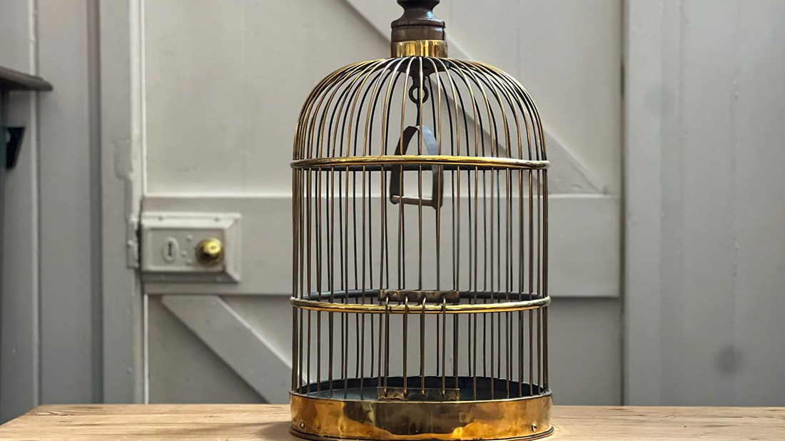 Oiseau Soldes Boutique -Oiseau Soldes Boutique 1